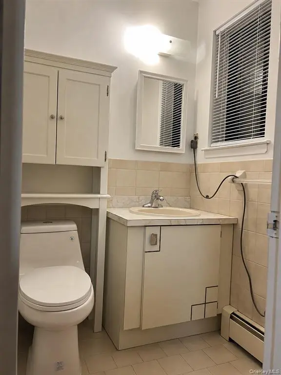 MLS#1041328 Flushing 房源照片 11 / listing photo 11