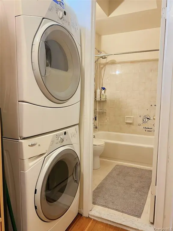 MLS#1041328 Flushing 房源照片 12 / listing photo 12