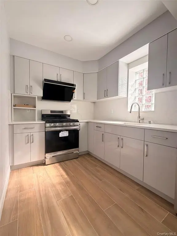 MLS#1005964 Flushing 房源照片 16 / listing photo 16