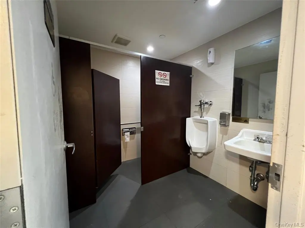 MLS#1022516 Flushing 房源照片 9 / listing photo 9