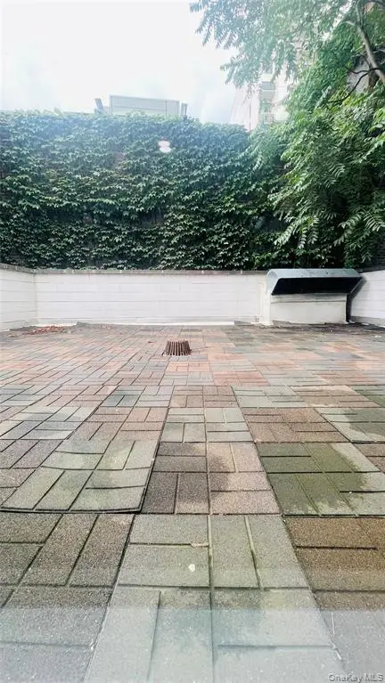MLS#1019121 Flushing 房源照片 6 / listing photo 6