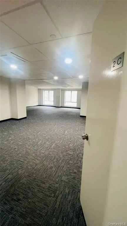 MLS#1019123 Flushing 房源照片 2 / listing photo 2