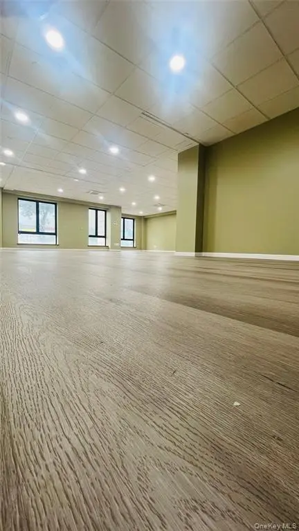 MLS#1019127 Flushing 房源照片 5 / listing photo 5