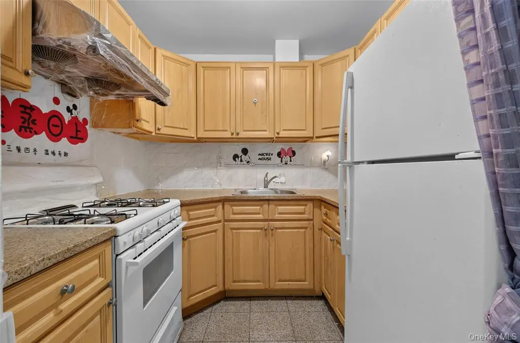 Flushing MLS#1038301 property listing photo 4