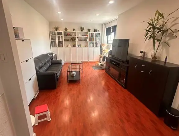Flushing MLS#1002021 property listing photo 1