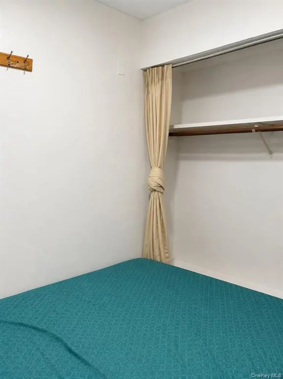 MLS#1041727 Flushing 房源照片 8 / listing photo 8