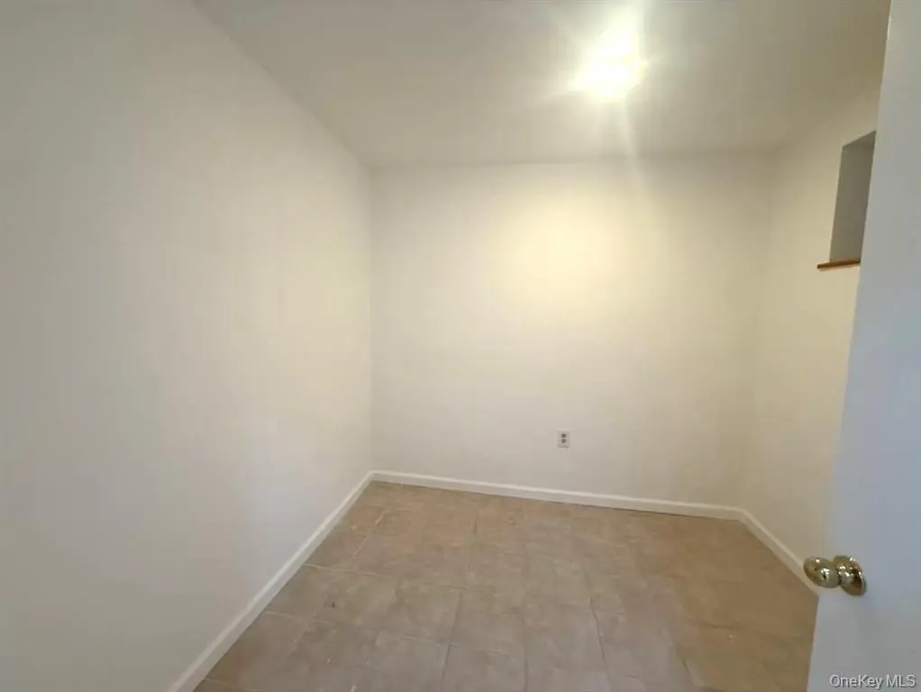 MLS#1003533 Flushing 房源照片 6 / listing photo 6