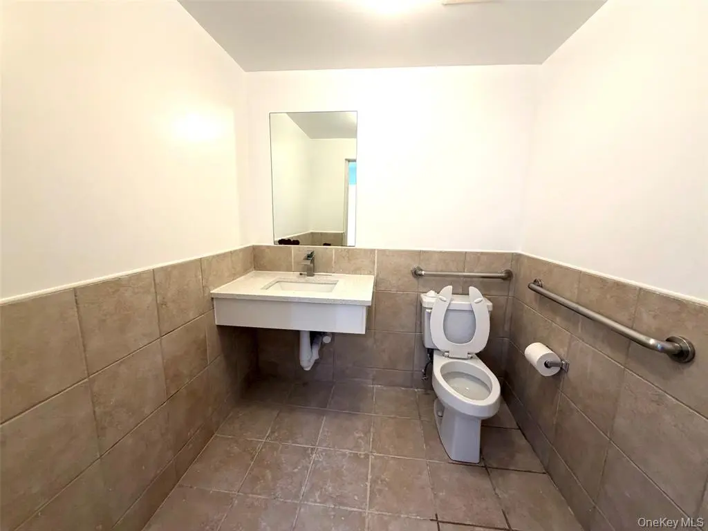 MLS#1003533 Flushing 房源照片 10 / listing photo 10