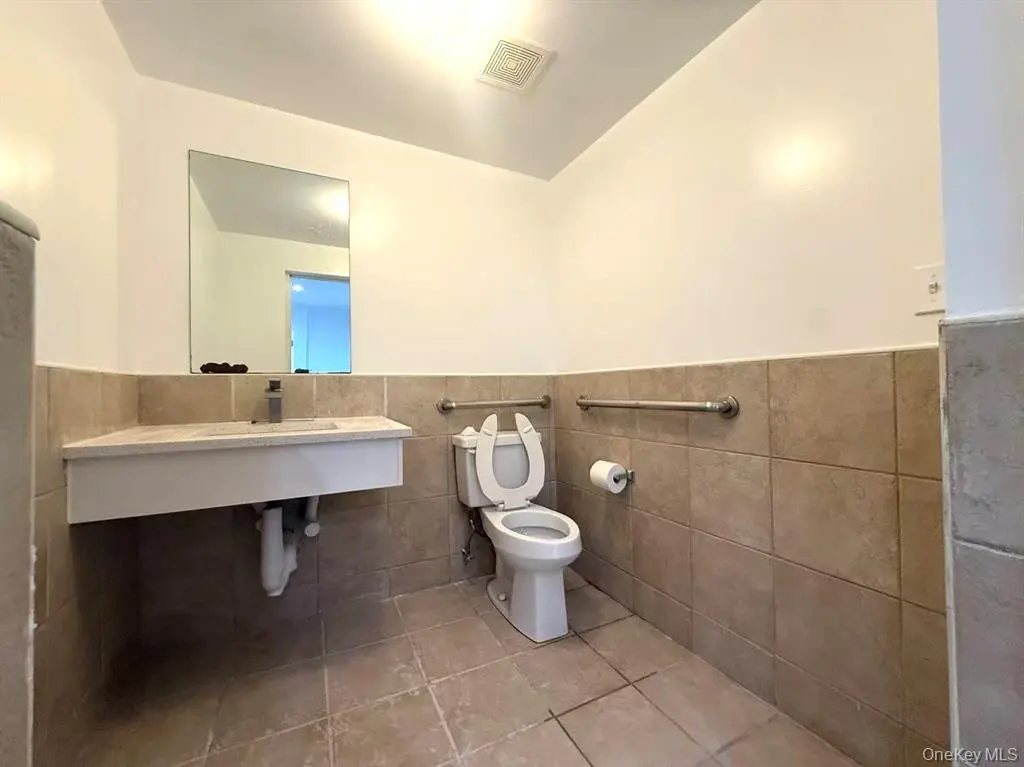 MLS#1003533 Flushing 房源照片 13 / listing photo 13