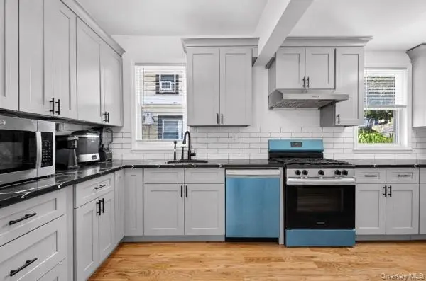 MLS#1035937 Flushing 房源照片 5 / listing photo 5