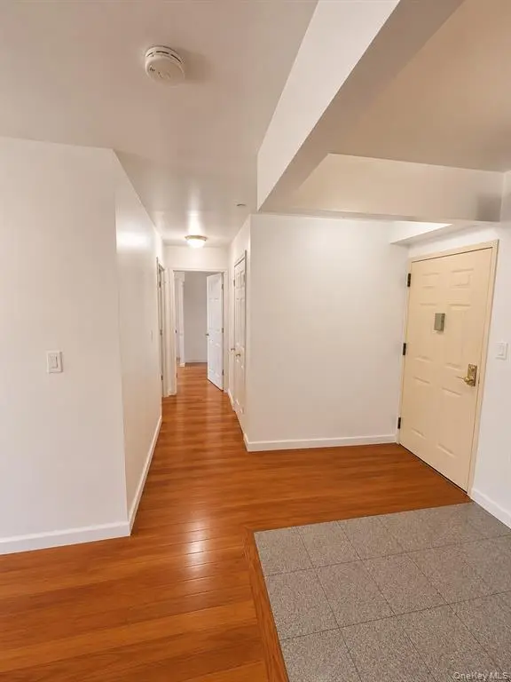 Flushing MLS#1002033 property listing photo 18