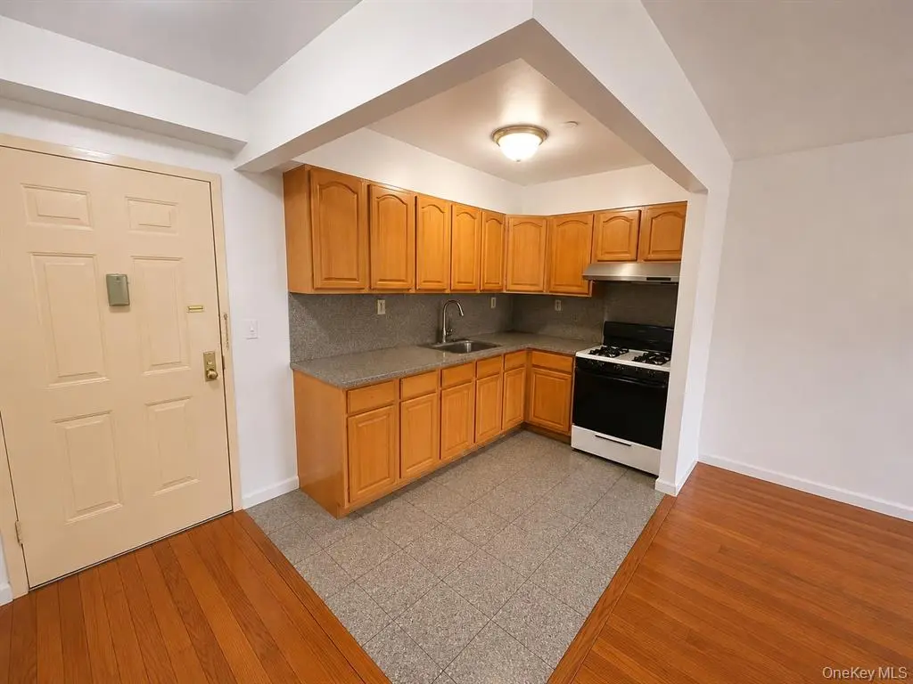 Flushing MLS#1002033 property listing photo 28