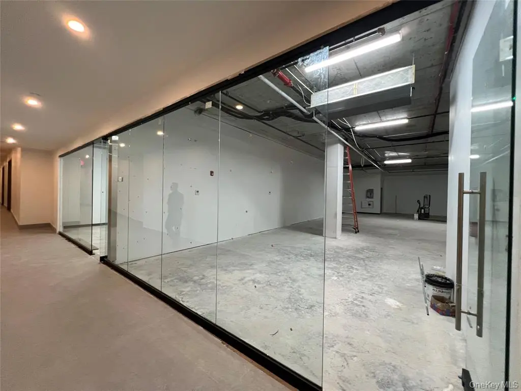 MLS#1017207 Flushing 房源照片 2 / listing photo 2