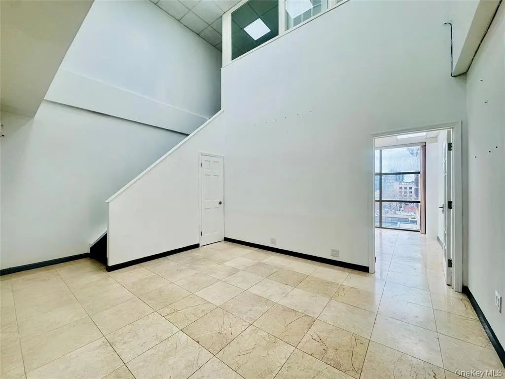 MLS#1005864 Flushing 房源照片 3 / listing photo 3