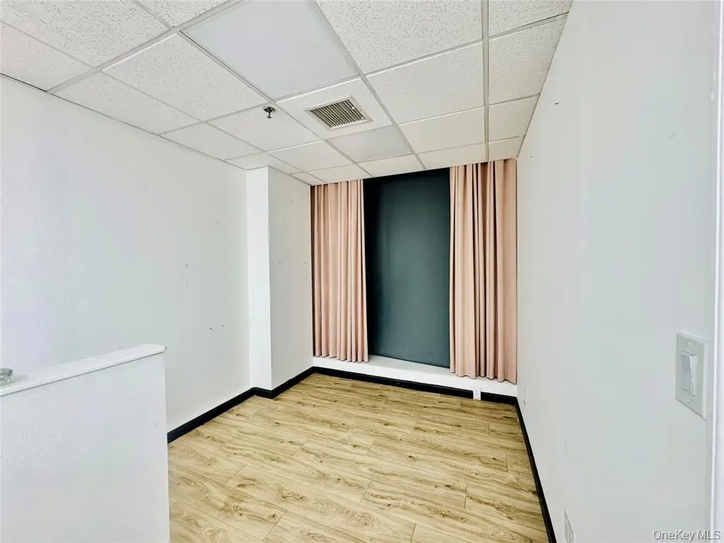 MLS#1005864 Flushing 房源照片 10 / listing photo 10