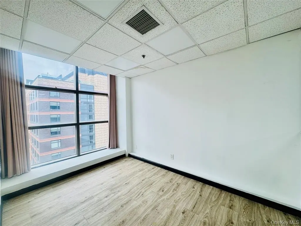 MLS#1005864 Flushing 房源照片 11 / listing photo 11