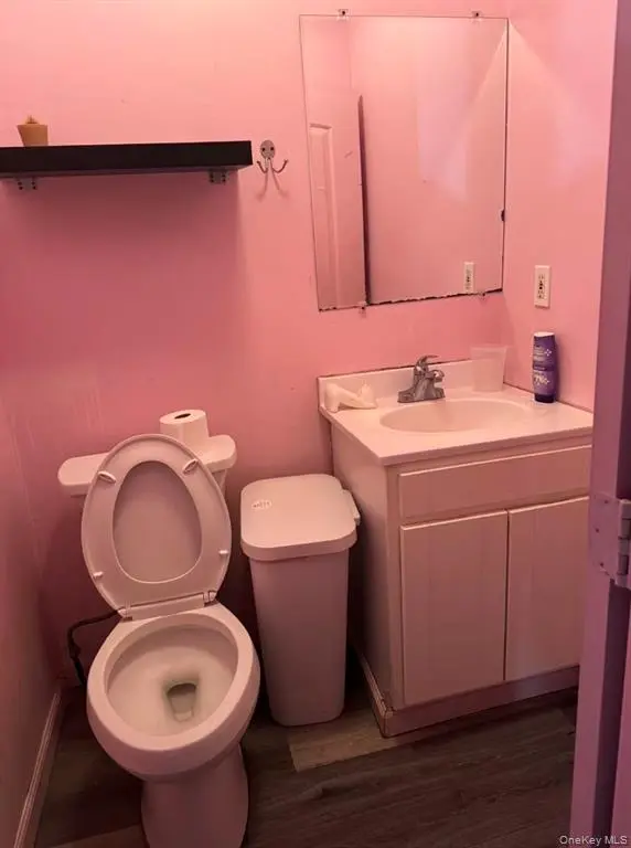 MLS#1036551 Flushing 房源照片 6 / listing photo 6
