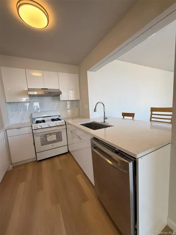 Flushing MLS#1029643 property listing photo 7