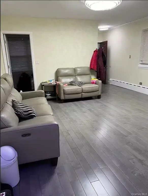 MLS#1011649 Flushing 房源照片 4 / listing photo 4