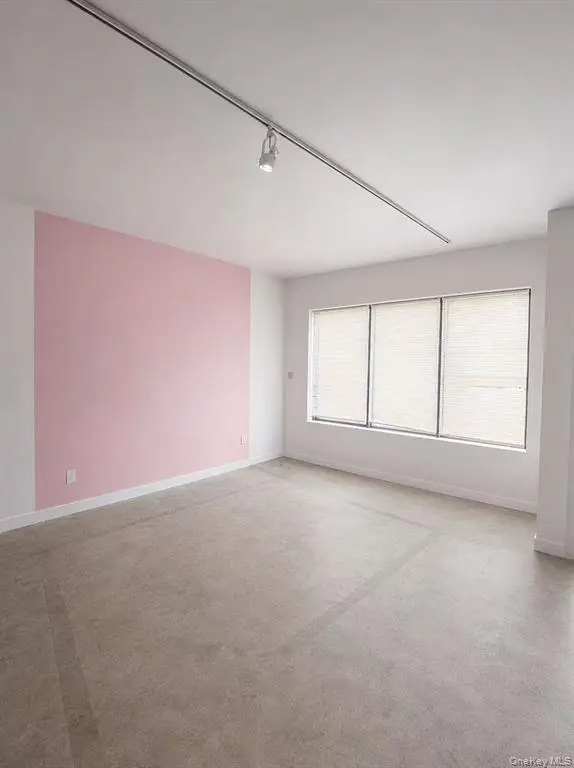 MLS#1034033 Flushing 房源照片 6 / listing photo 6