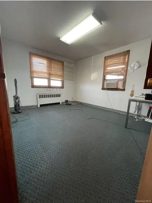 MLS#1008513 Hicksville 房源照片 7 / listing photo 7