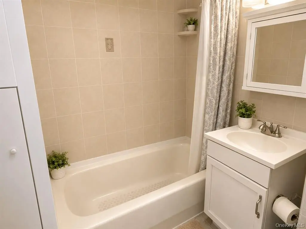 MLS#1038155 Long Island City 房源照片 12 / listing photo 12