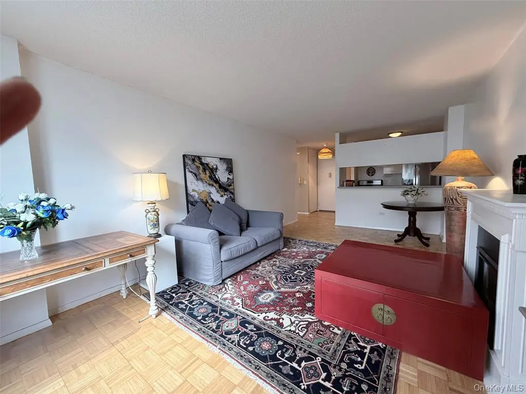 New York (Manhattan) MLS#1040860 property listing photo 3