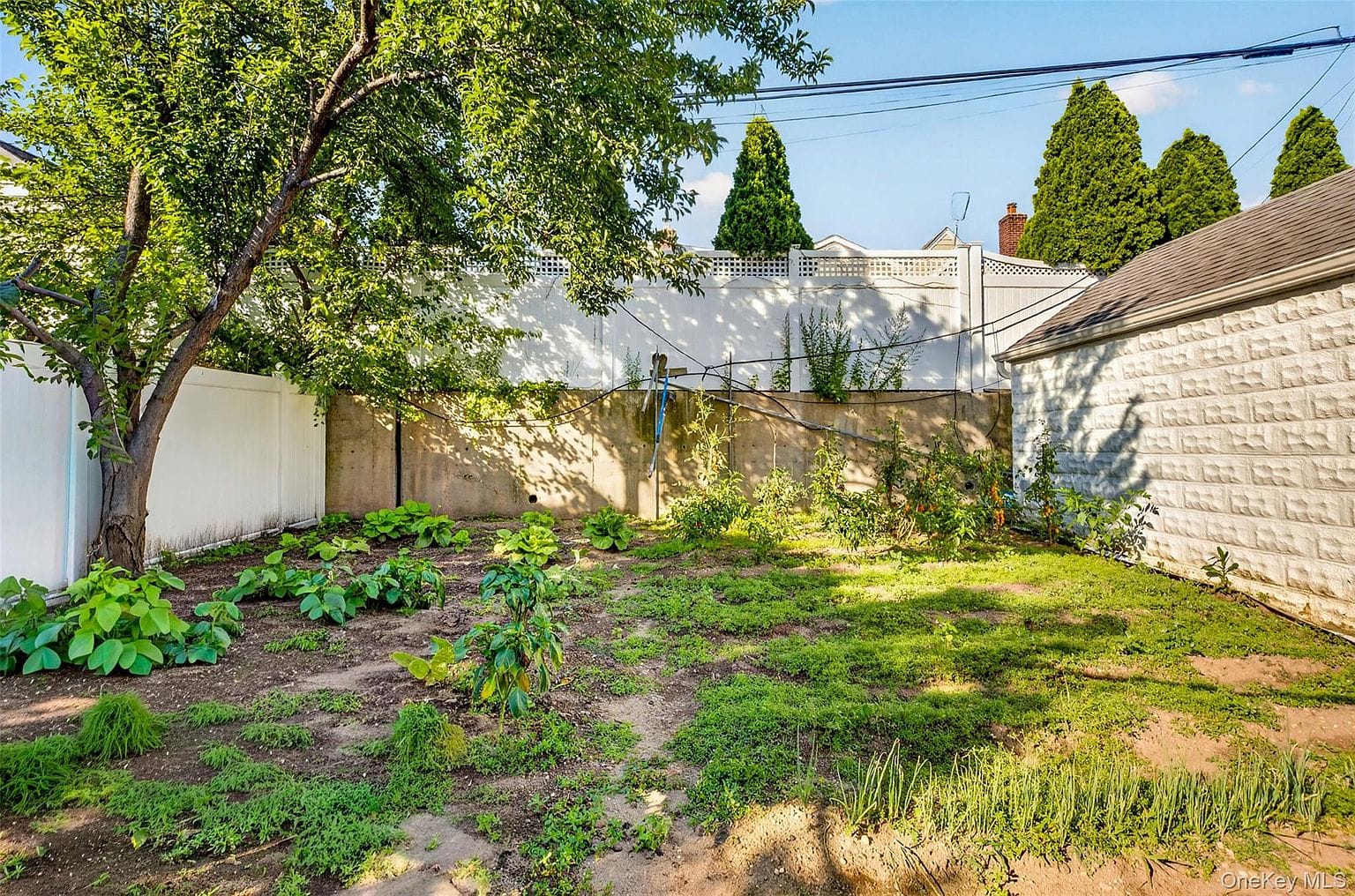 170-19 Pidgeon Meadow Rd|后院绿地 170-19 Pidgeon Meadow Rd后院绿地和围栏。
