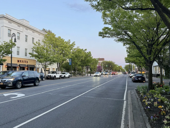 Garden City的Franklin Avenue商业街，街边店铺、行道树、停车车辆与晚霞实景