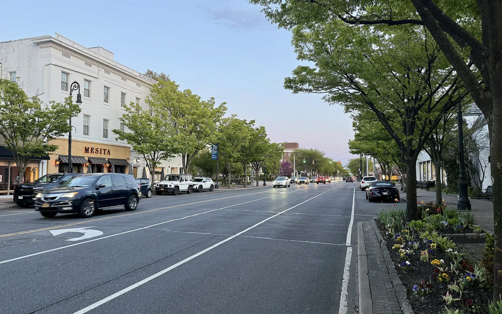 Garden City的Franklin Avenue商业街，街边店铺、行道树、停车车辆与晚霞实景