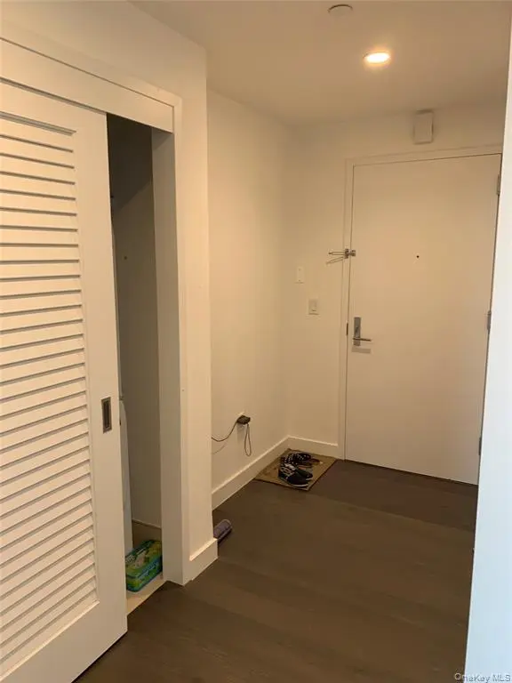 Apartment entry and closet doors