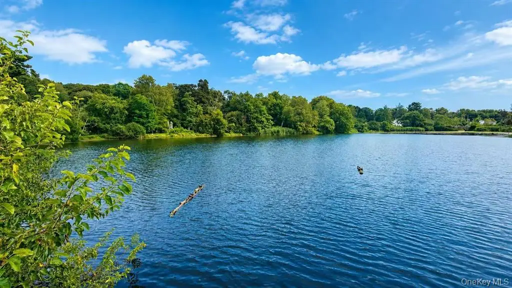 Scenic pond and wooded shoreline