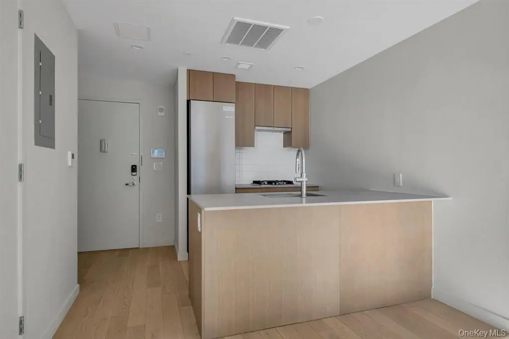 Open kitchen and entry area with modern finishes