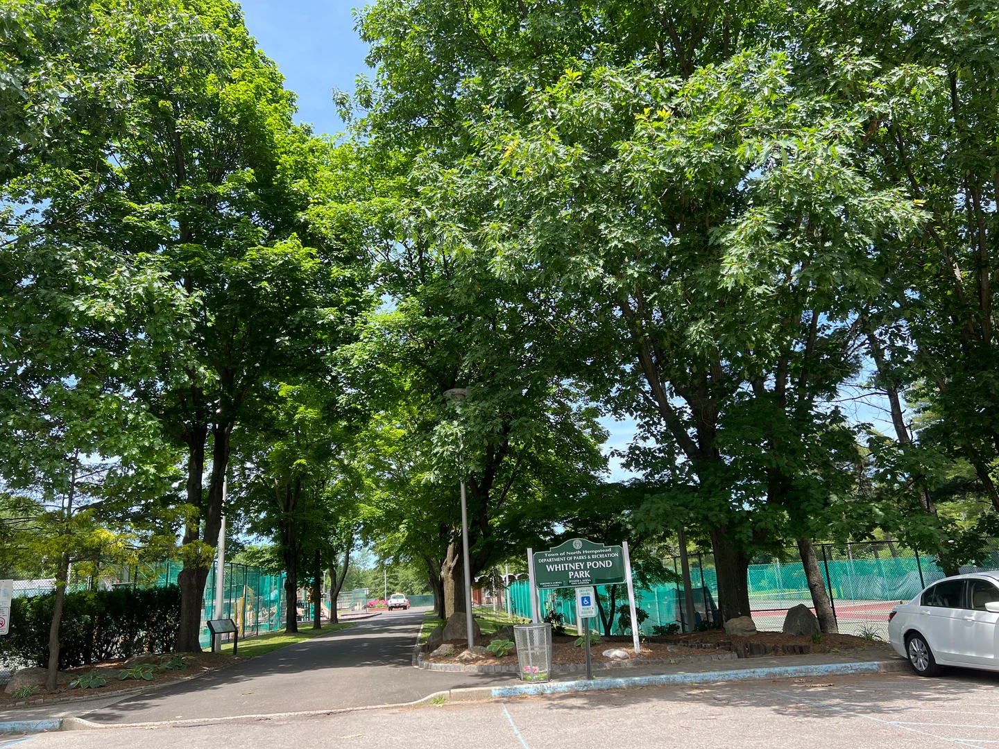 Manhasset的Whitney Pond Park真实入口,树荫覆盖步道,公园标牌与球场围网清晰可见